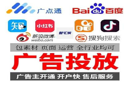 专业竞价SEM托管成功案例解析